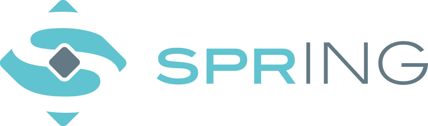 SprING GmbH